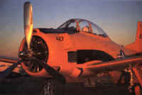 sunsetplane.jpg (19452 bytes)