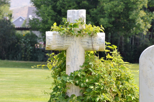 HC Vine on Cross