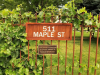 511 Maple